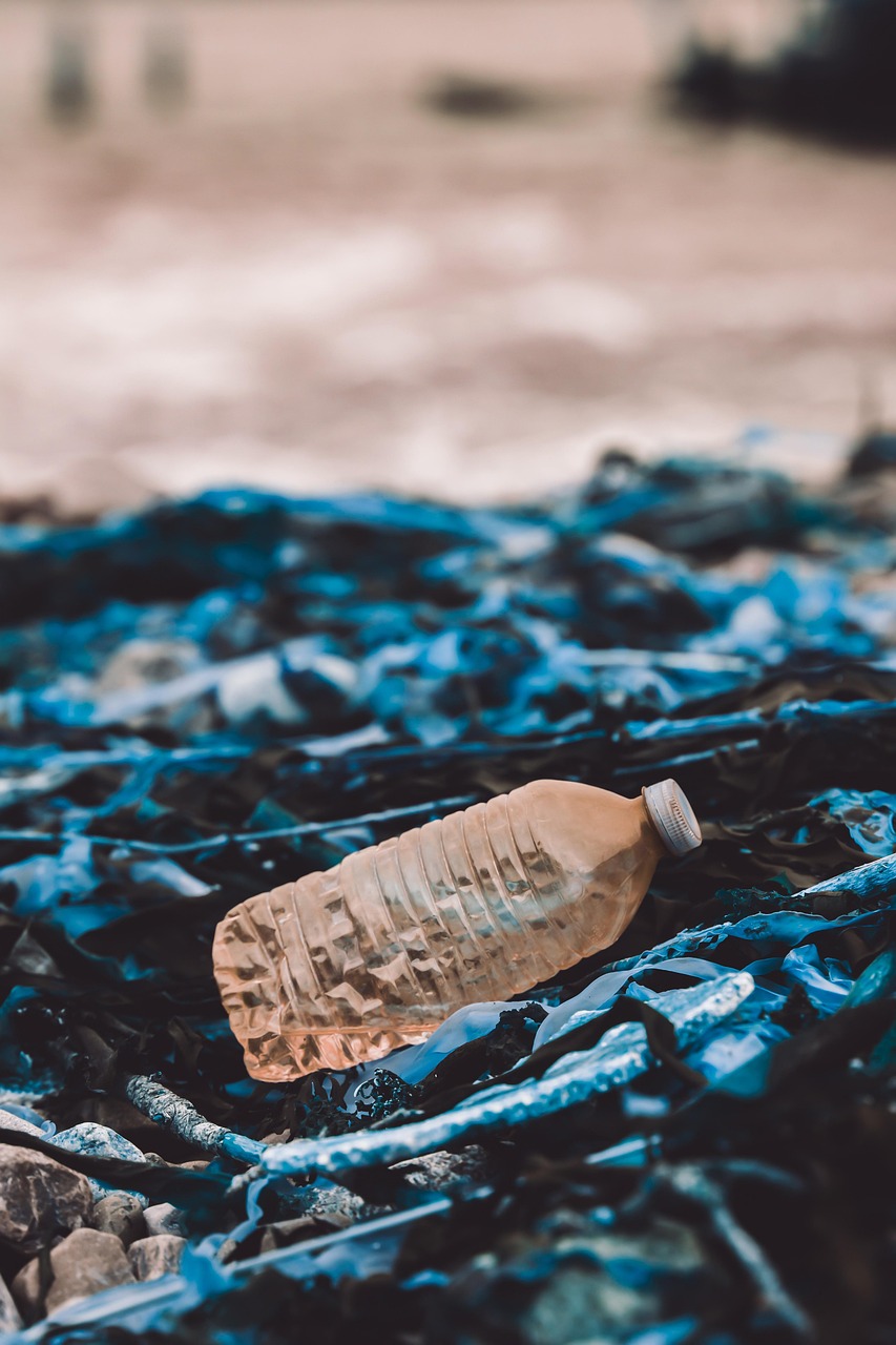 bottle, waste, environment, recycling, plastic, elimination, trash, garbage, pollution, recycle, transparent, responsibility, waste, waste, plastic, plastic, garbage, garbage, garbage, pollution, pollution, recycle, recycle, recycle, recycle, recycle